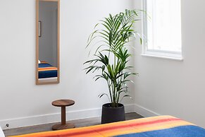 Hausd - Leicester Square