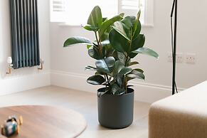 Hausd - Leicester Square