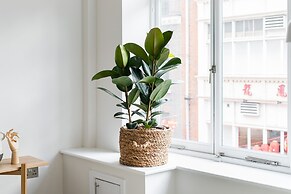 Hausd - Leicester Square