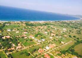 Shores Plantation