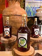 Hotel Fazenda Vilarejo