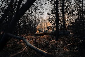 Eyja Mörk & Bubble Bedroom