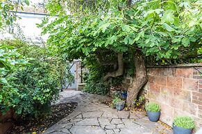 Birch at Ship St Gardens