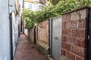 Birch at Ship St Gardens