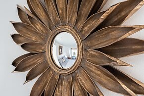 Birch at Ship St Gardens