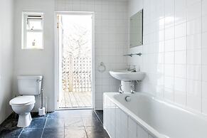 Birch at Ship St Gardens