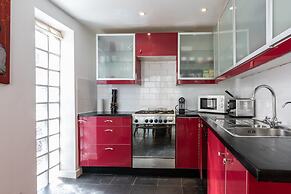 Birch at Ship St Gardens