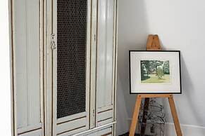 Birch at Ship St Gardens