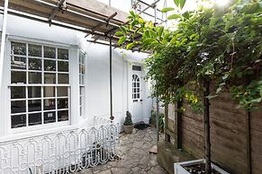 Birch at Ship St Gardens