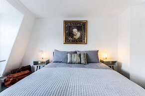 Birch at Ship St Gardens