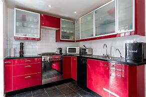 Birch at Ship St Gardens