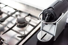 Birch at Ship St Gardens