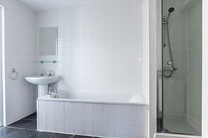 Birch at Ship St Gardens