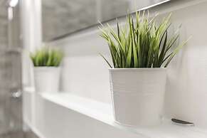 The Best in Rome Vico