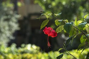 Residence Abbaechelu