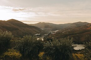 Ventozelo Hotel & Quinta