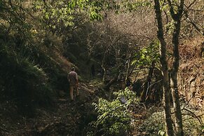 Ventozelo Hotel & Quinta