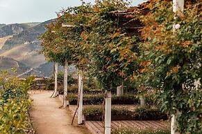 Ventozelo Hotel & Quinta