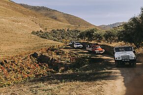 Ventozelo Hotel & Quinta