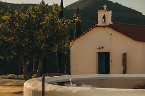 Ventozelo Hotel & Quinta