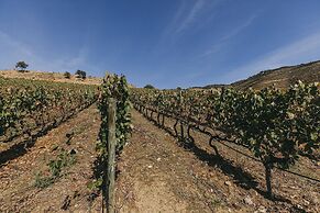 Ventozelo Hotel & Quinta