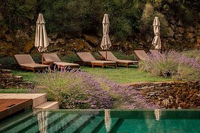 Ventozelo Hotel & Quinta