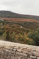 Ventozelo Hotel & Quinta