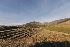 Ventozelo Hotel & Quinta