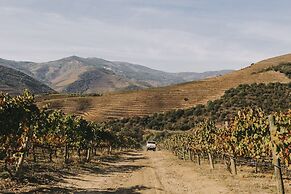 Ventozelo Hotel & Quinta