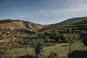 Ventozelo Hotel & Quinta