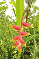 African Heritage House