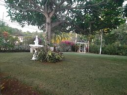 Comfort Kingdom Villa Bed & Breakfast