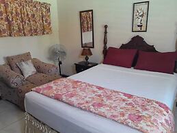 Comfort Kingdom Villa Bed & Breakfast