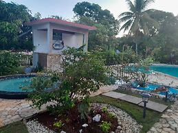 Comfort Kingdom Villa Bed & Breakfast