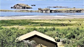 Africa Safari Lake Natron