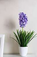 Roma Enrico Guesthouse