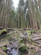 Tyn Y Fron Country House