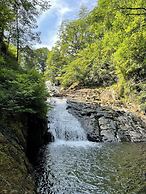 Tyn Y Fron Country House