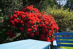 Tyn Y Fron Country House