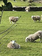 Tyn Y Fron Country House