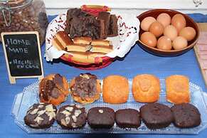 Can Cocollona