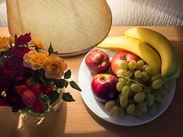 Hotel Asia Mountains 2