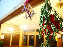 Trip Base Coconeel - Hostel