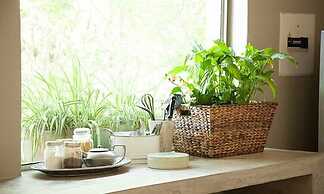 Little Forest Guest House