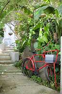 Little Forest Guest House