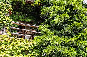 Casa Rural Catifalarga Capileira