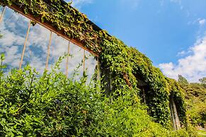 Casa Rural Catifalarga Capileira