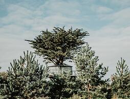 Atlantic Surf Pods - Campsite