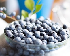 Dona Adélia Hotel e Restaurante