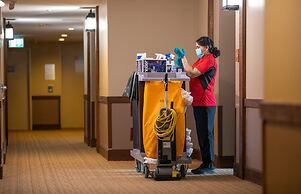 Blackcomb Springs Suites by CLIQUE